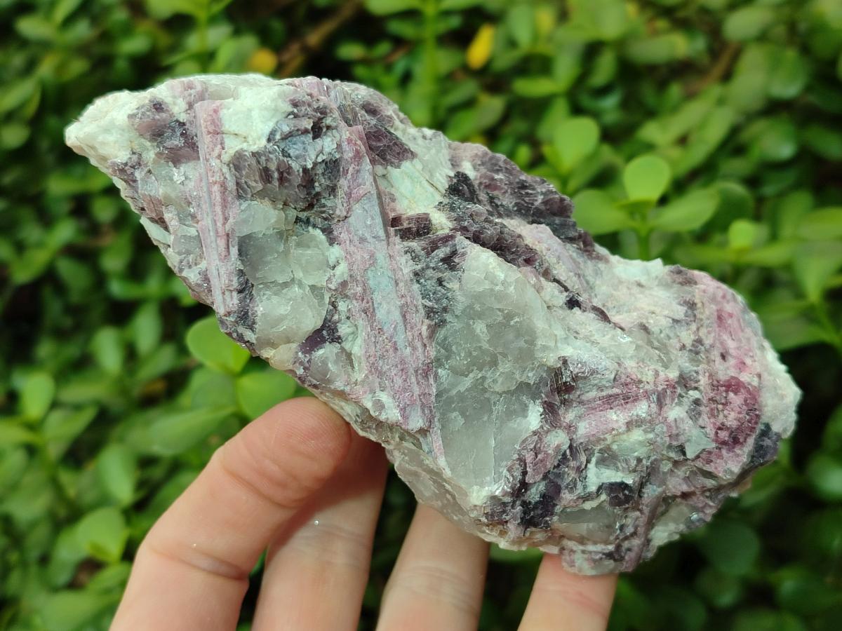 Natural Pink Rubellite Tourmaline Specimens x 4 From Karibib, Namibia