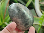Polished Basalt Pharaoh Stone Free Forms x 5 From Iron Duke Mine, Zimbabwe