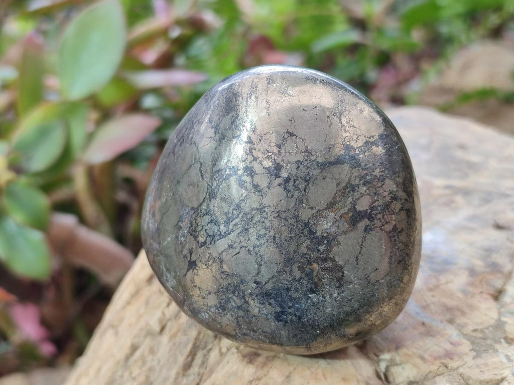 Polished Basalt Pharaoh Stone Free Forms x 5 From Iron Duke Mine, Zimbabwe