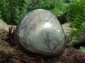 Polished Basalt Pharaoh Stone Free Forms x 5 From Iron Duke Mine, Zimbabwe