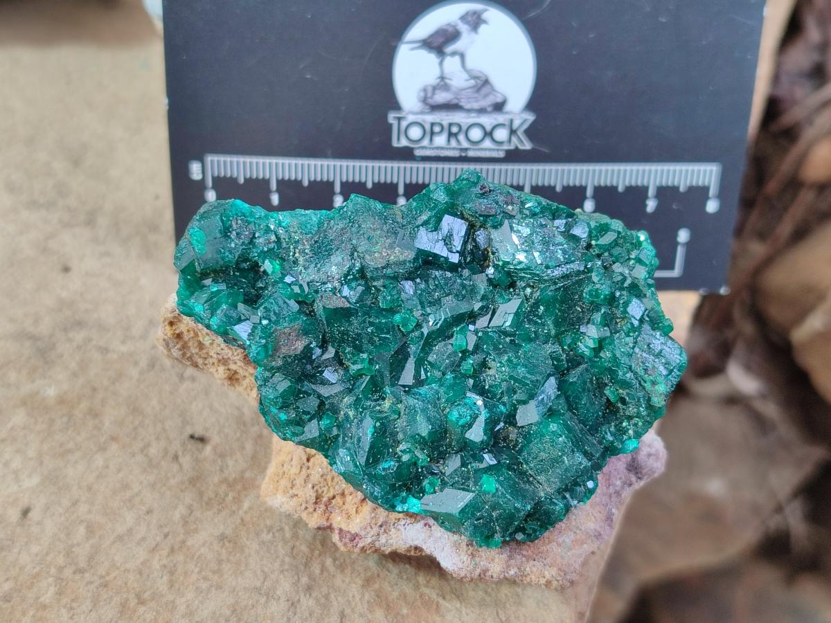 Natural Medium Cabinet Size Dioptase Specimens on Dolomite Matrix x 6 From Tantara Mine, Congo