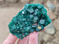 Natural Medium Cabinet Size Dioptase Specimens on Dolomite Matrix x 6 From Tantara Mine, Congo