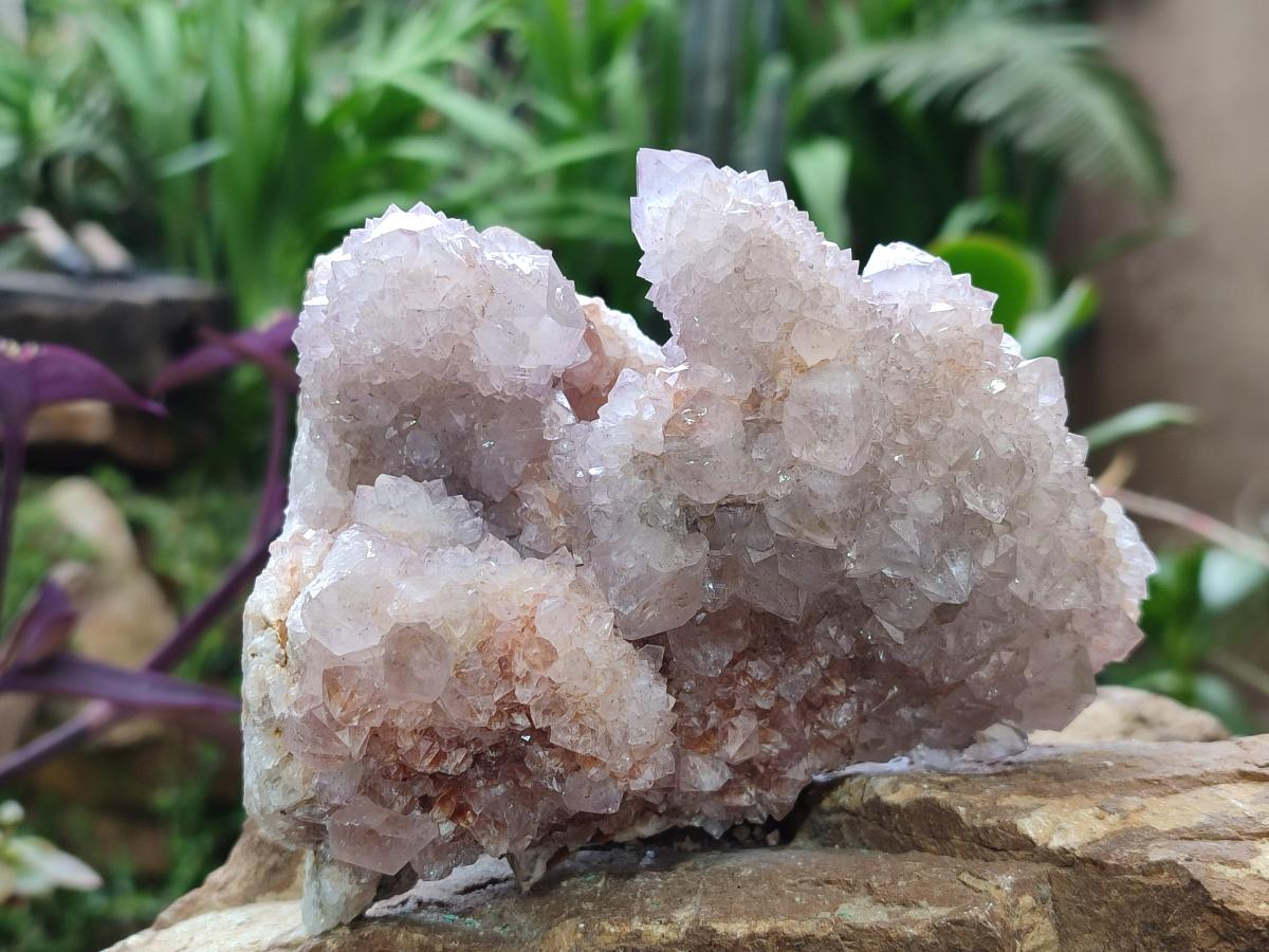Natural Spirit Quartz Clusters x 2 From Boekenhouthoek, South Africa