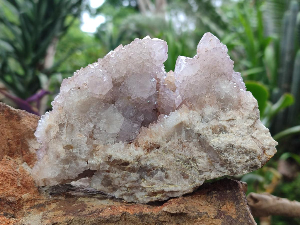 Natural Spirit Quartz Clusters x 2 From Boekenhouthoek, South Africa