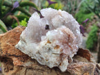 Natural Spirit Quartz Clusters x 2 From Boekenhouthoek, South Africa