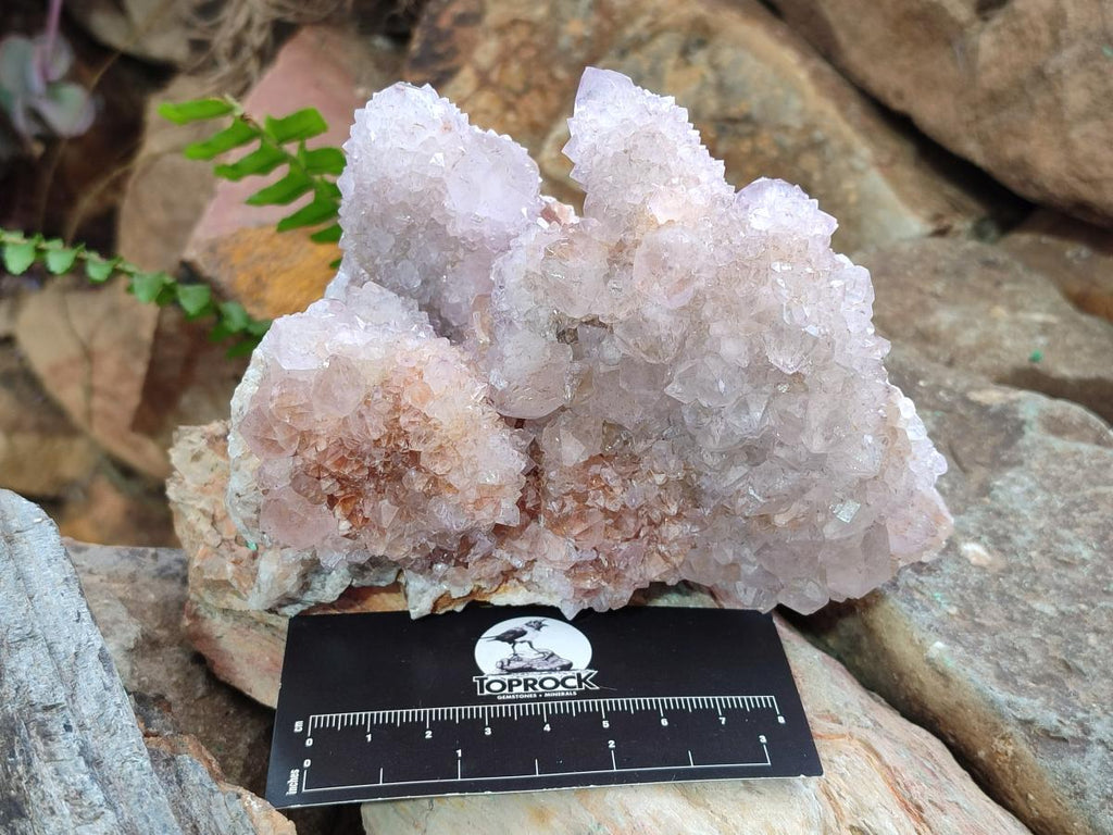 Natural Spirit Quartz Clusters x 2 From Boekenhouthoek, South Africa