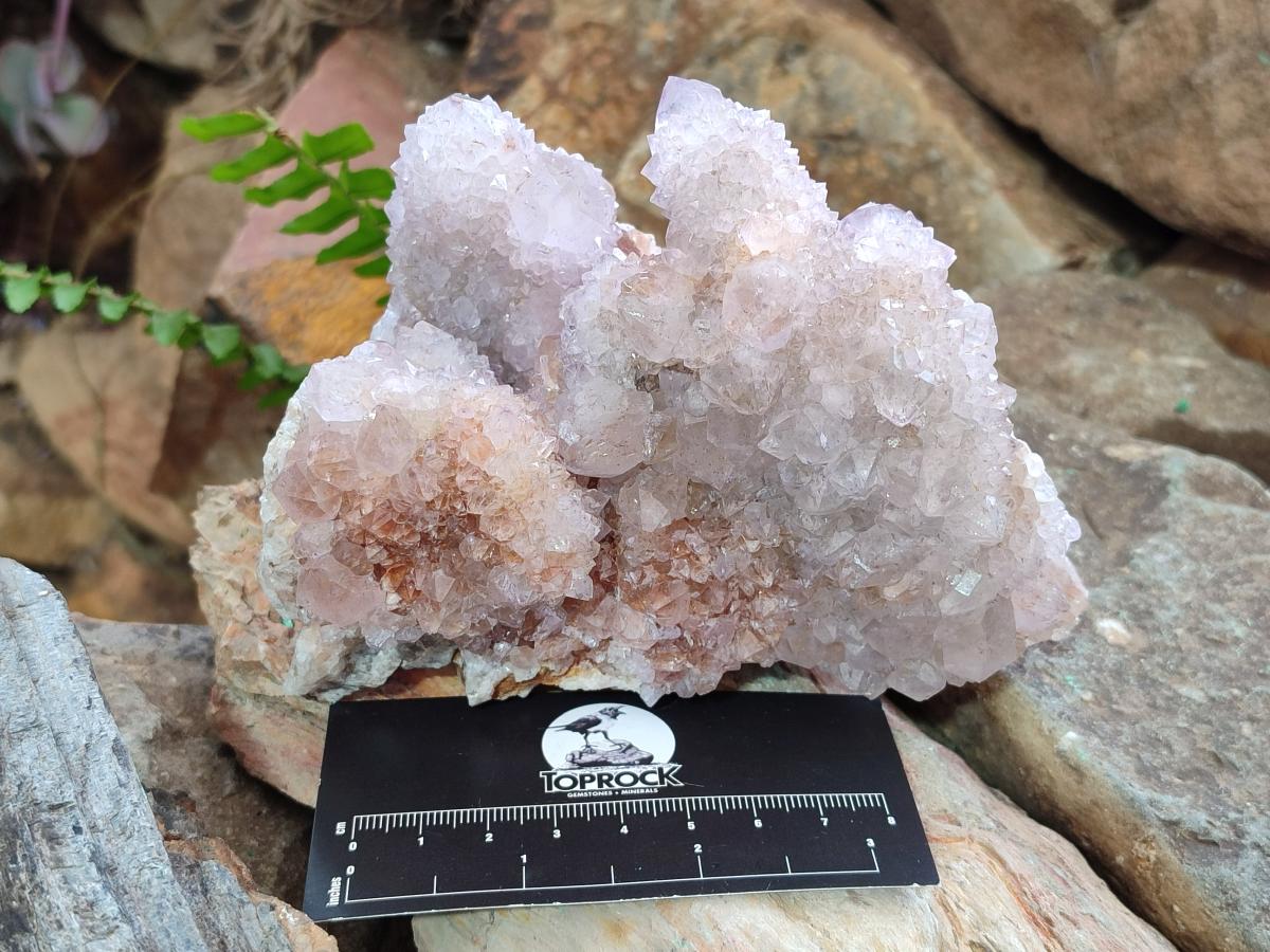 Natural Spirit Quartz Clusters x 2 From Boekenhouthoek, South Africa
