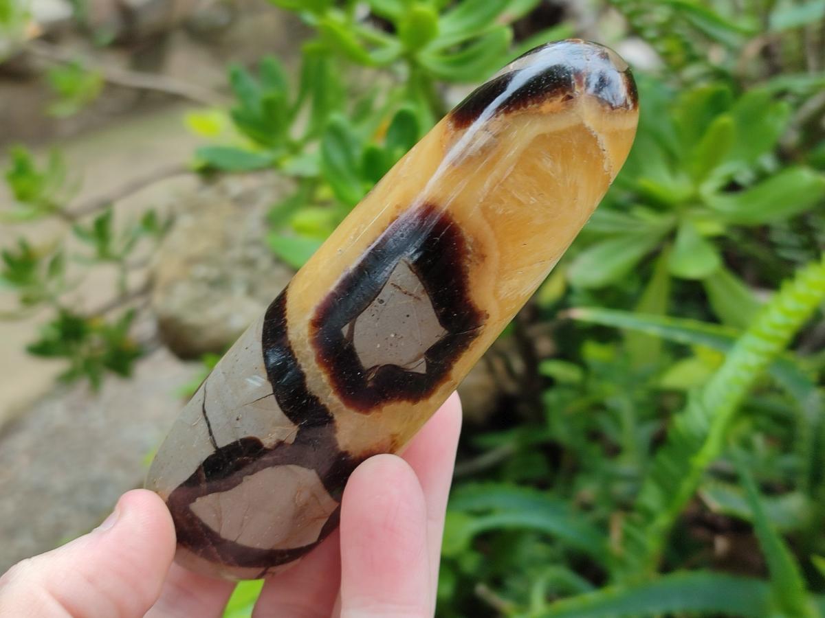 Polished Septerye Massage Wands x 6 From Mahajanga, Madagascar