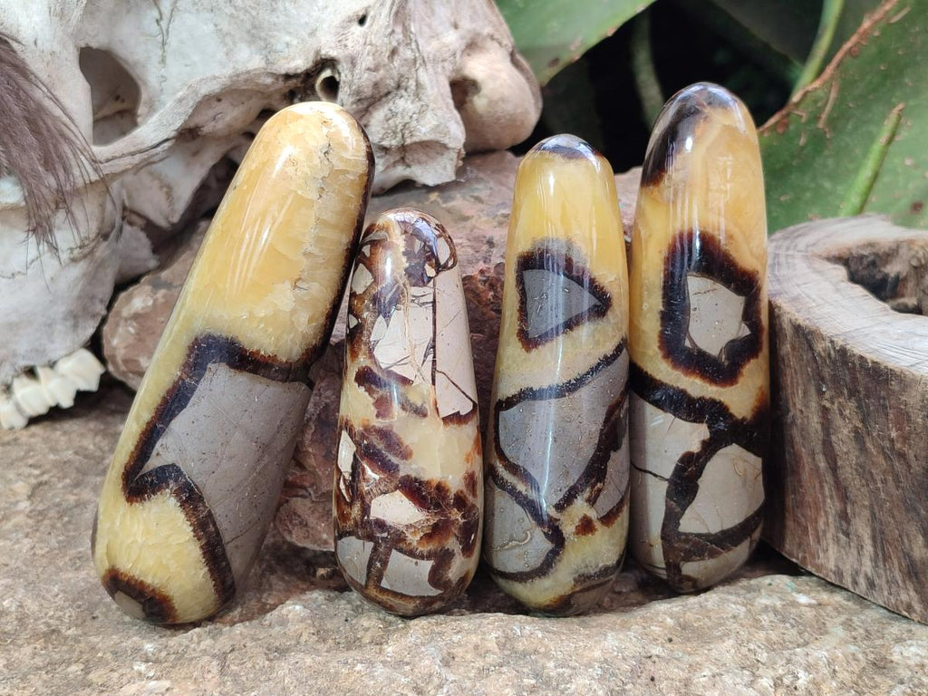 Polished Septerye Massage Wands x 6 From Mahajanga, Madagascar