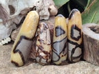Polished Septerye Massage Wands x 6 From Mahajanga, Madagascar