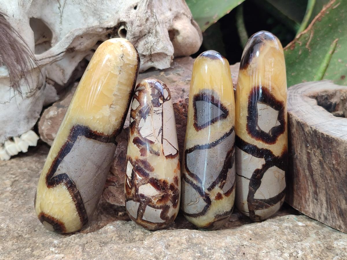 Polished Septerye Massage Wands x 6 From Mahajanga, Madagascar