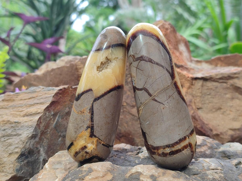 Polished Septerye Massage Wands x 6 From Mahajanga, Madagascar