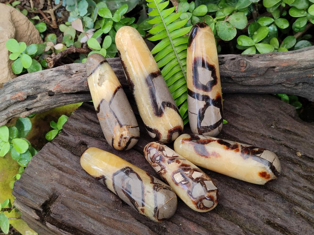Polished Septerye Massage Wands x 6 From Mahajanga, Madagascar