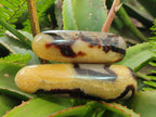 Polished Septerye Massage Wands x 6 From Mahajanga, Madagascar