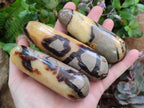 Polished Septerye Massage Wands x 6 From Mahajanga, Madagascar