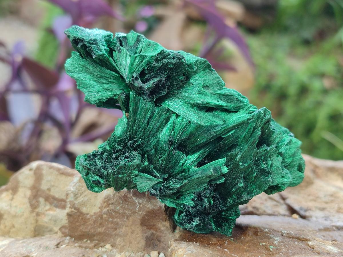 Natural Silky Malachite Specimens x 3 From Kasompe, Congo