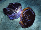 Polished One Side Dadoxylon Petrified Wood Tree Branches x 2 From Gokwe, Zimbabwe