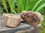 Polished One Side Dadoxylon Petrified Wood Tree Branches x 2 From Gokwe, Zimbabwe