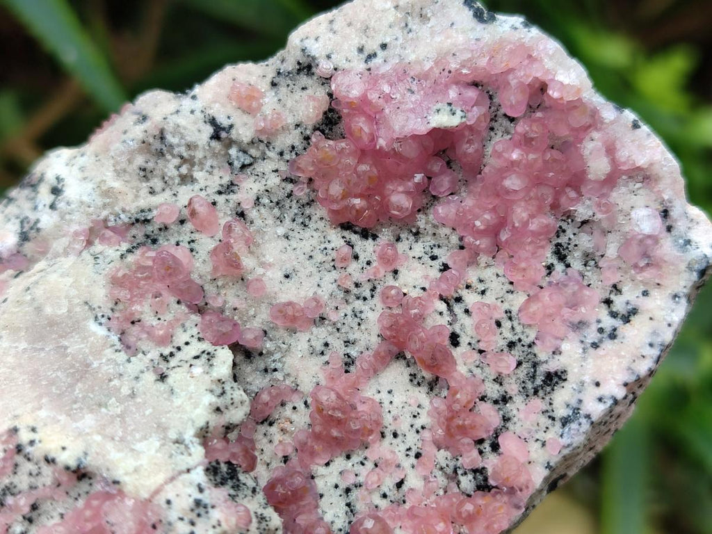 Natural Spherocobaltite Specimens x 6 From Mashamba West Mine, Congo