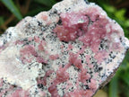 Natural Spherocobaltite Specimens x 6 From Mashamba West Mine, Congo