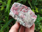 Natural Spherocobaltite Specimens x 6 From Mashamba West Mine, Congo