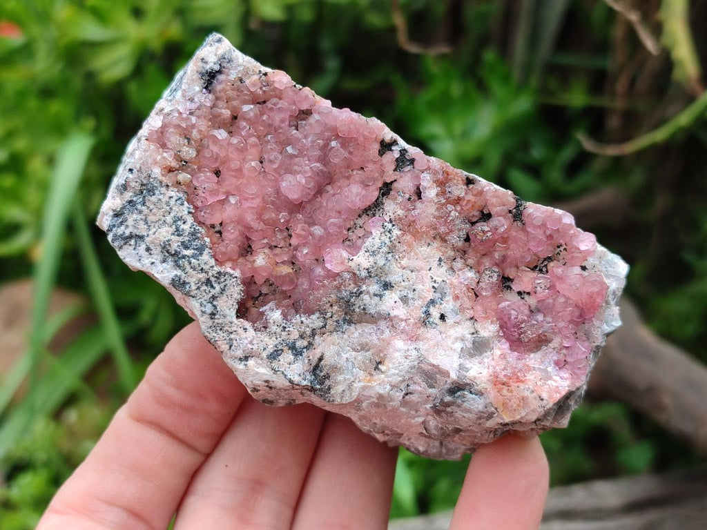 Natural Spherocobaltite Specimens x 6 From Mashamba West Mine, Congo