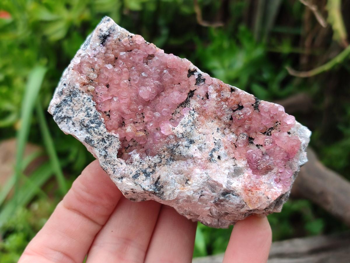 Natural Spherocobaltite Specimens x 6 From Mashamba West Mine, Congo