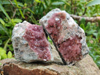 Natural Spherocobaltite Specimens x 6 From Mashamba West Mine, Congo