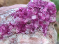 Natural Spherocobaltite Specimens x 6 From Mashamba West Mine, Congo