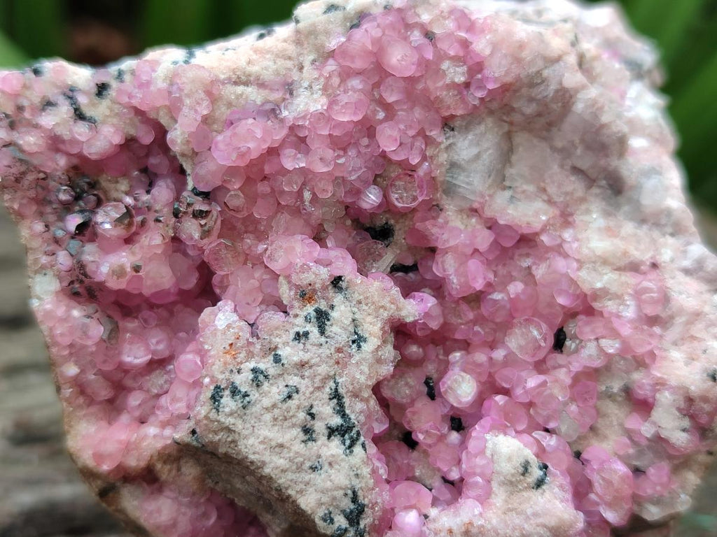 Natural Spherocobaltite Specimens x 6 From Mashamba West Mine, Congo