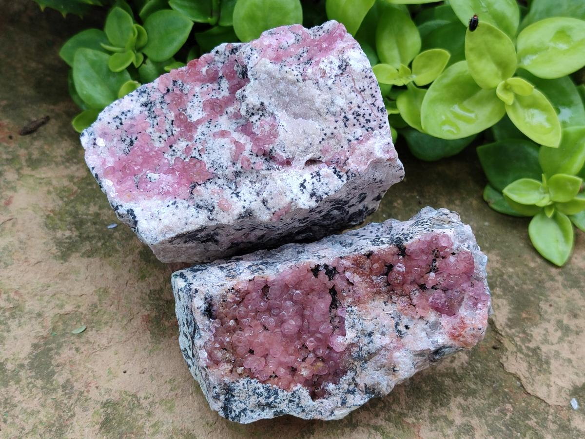 Natural Spherocobaltite Specimens x 6 From Mashamba West Mine, Congo