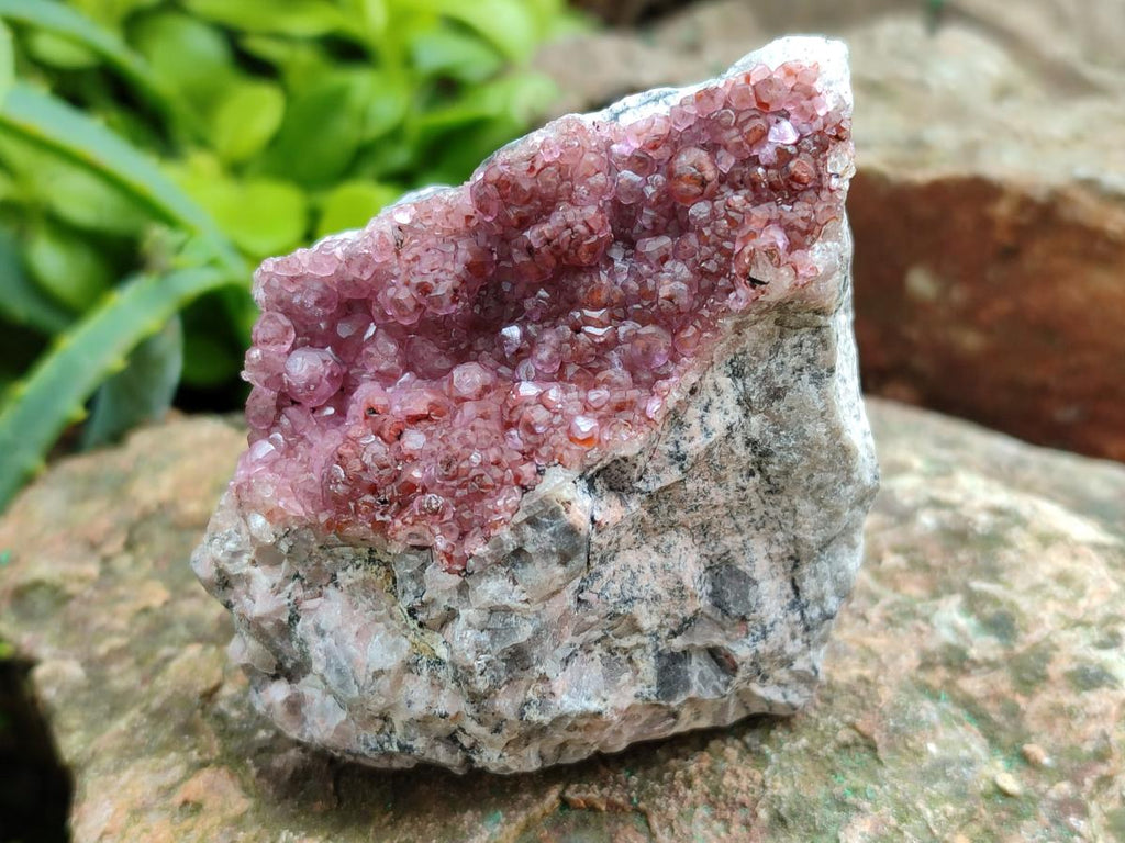 Natural Spherocobaltite Specimens x 6 From Mashamba West Mine, Congo
