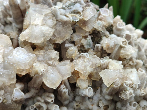 Natural XL Rare Size Spearhead Calcite Cluster Specimen with Rhomboherdral Crystals x 1 From Albert's Mountain, Lesotho