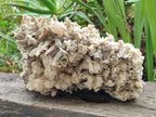 Natural XL Rare Size Spearhead Calcite Cluster Specimen with Rhomboherdral Crystals x 1 From Albert's Mountain, Lesotho