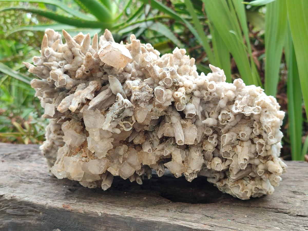 Natural XL Rare Size Spearhead Calcite Cluster Specimen with Rhomboherdral Crystals x 1 From Albert's Mountain, Lesotho