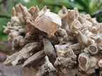 Natural XL Rare Size Spearhead Calcite Cluster Specimen with Rhomboherdral Crystals x 1 From Albert's Mountain, Lesotho