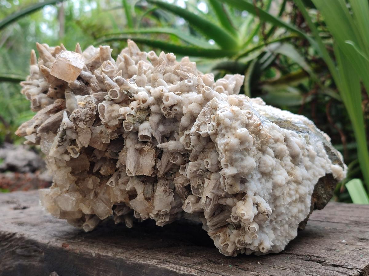 Natural XL Rare Size Spearhead Calcite Cluster Specimen with Rhomboherdral Crystals x 1 From Albert's Mountain, Lesotho