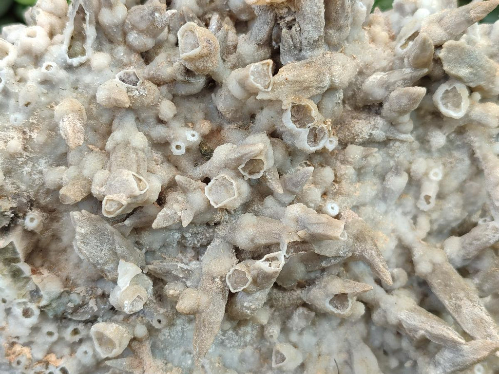 Natural XL Rare Size Spearhead Calcite Cluster Specimen with Rhomboherdral Crystals x 1 From Albert's Mountain, Lesotho