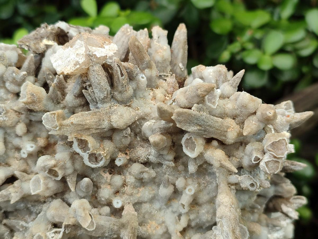 Natural XL Rare Size Spearhead Calcite Cluster Specimen with Rhomboherdral Crystals x 1 From Albert's Mountain, Lesotho