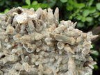Natural XL Rare Size Spearhead Calcite Cluster Specimen with Rhomboherdral Crystals x 1 From Albert's Mountain, Lesotho