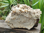 Natural XL Rare Size Spearhead Calcite Cluster Specimen with Rhomboherdral Crystals x 1 From Albert's Mountain, Lesotho
