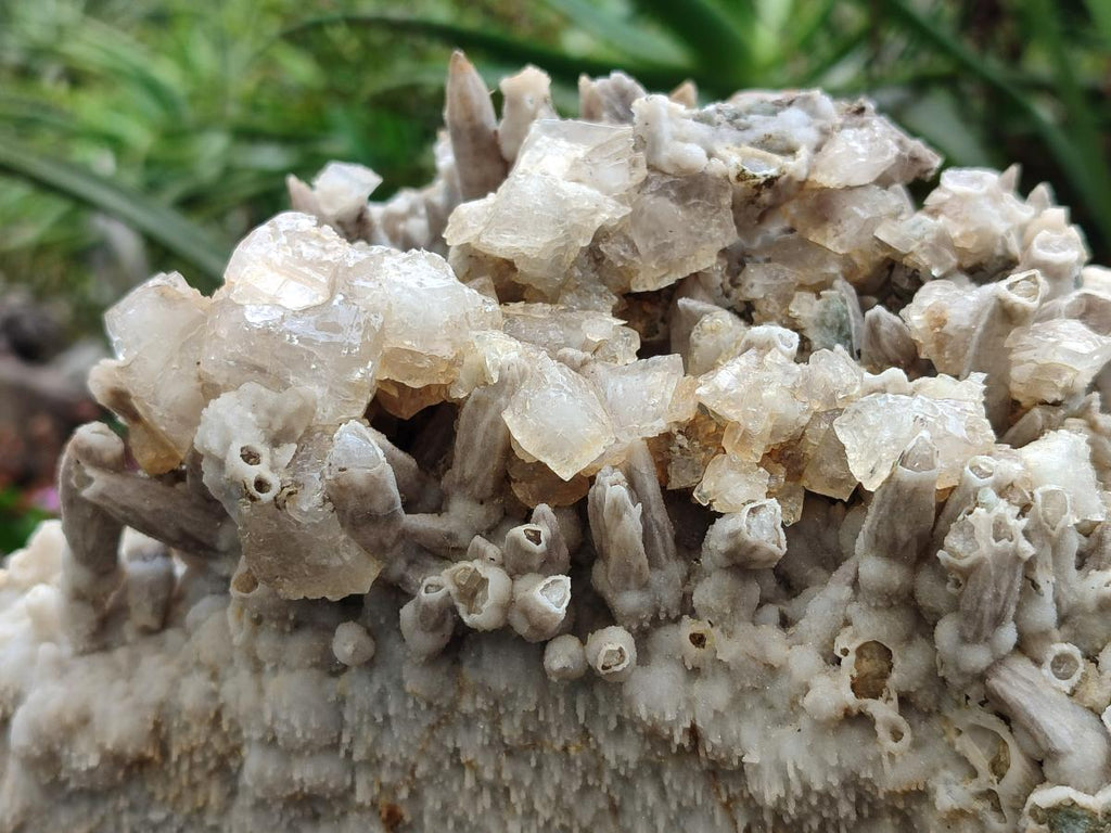 Natural XL Rare Size Spearhead Calcite Cluster Specimen with Rhomboherdral Crystals x 1 From Albert's Mountain, Lesotho