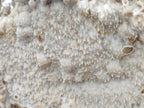 Natural XL Rare Size Spearhead Calcite Cluster Specimen with Rhomboherdral Crystals x 1 From Albert's Mountain, Lesotho