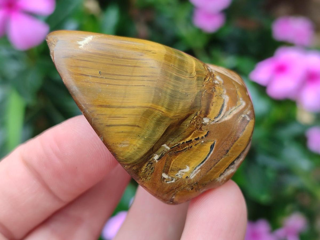 Polished Golden Tigers Eye Tumbled Free Forms x 35 From Prieska, South Africa