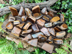 Polished Golden Tigers Eye Tumbled Free Forms x 35 From Prieska, South Africa