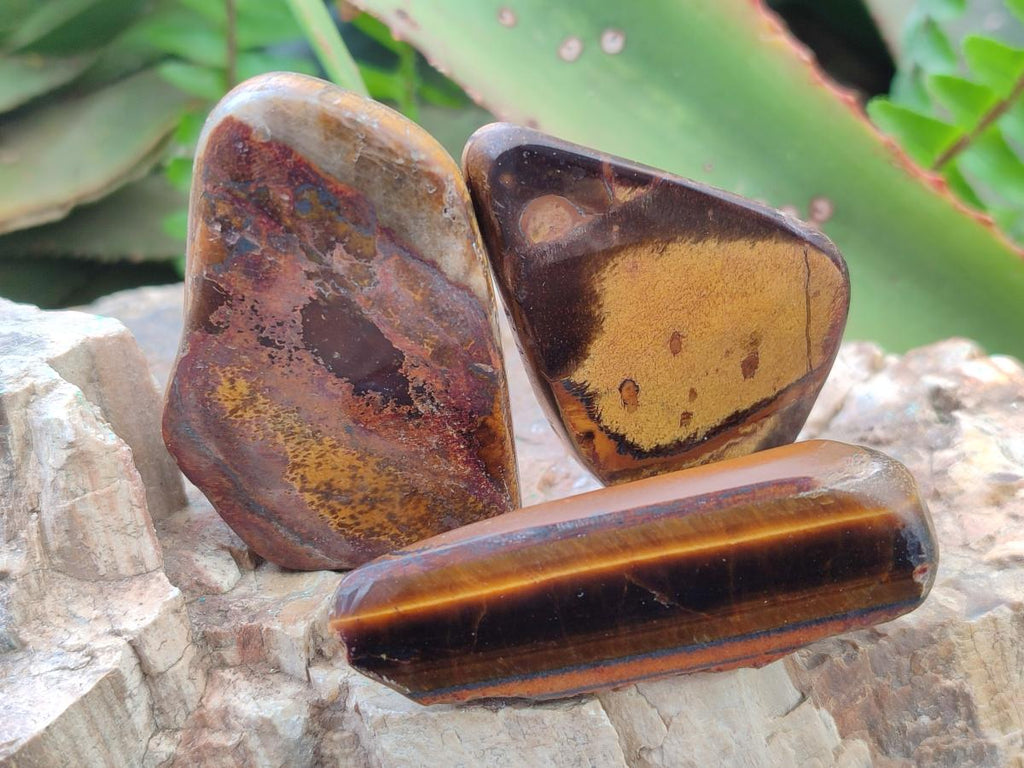 Polished Golden Tigers Eye Tumbled Free Forms x 35 From Prieska, South Africa