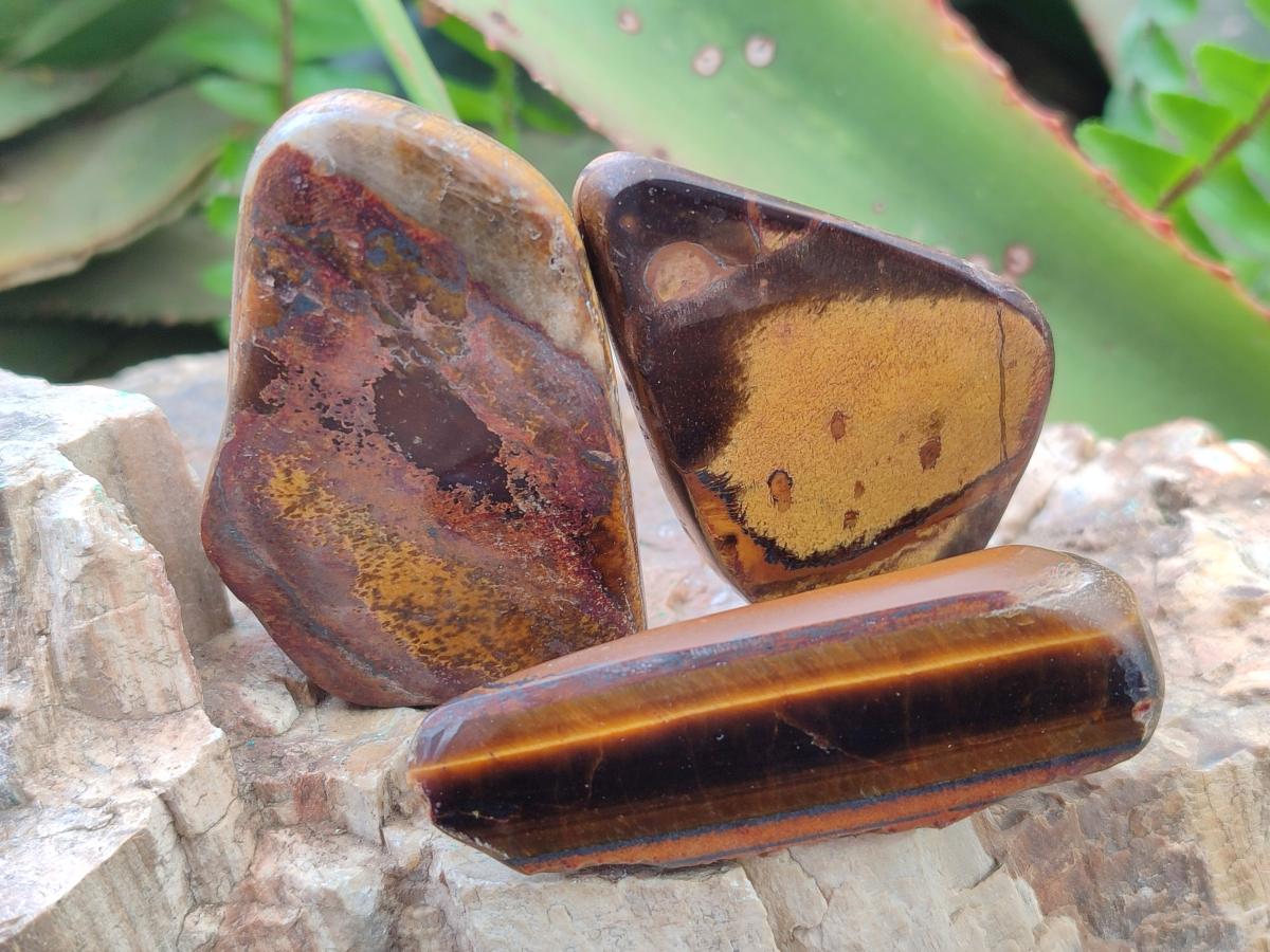 Polished Golden Tigers Eye Tumbled Free Forms x 35 From Prieska, South Africa