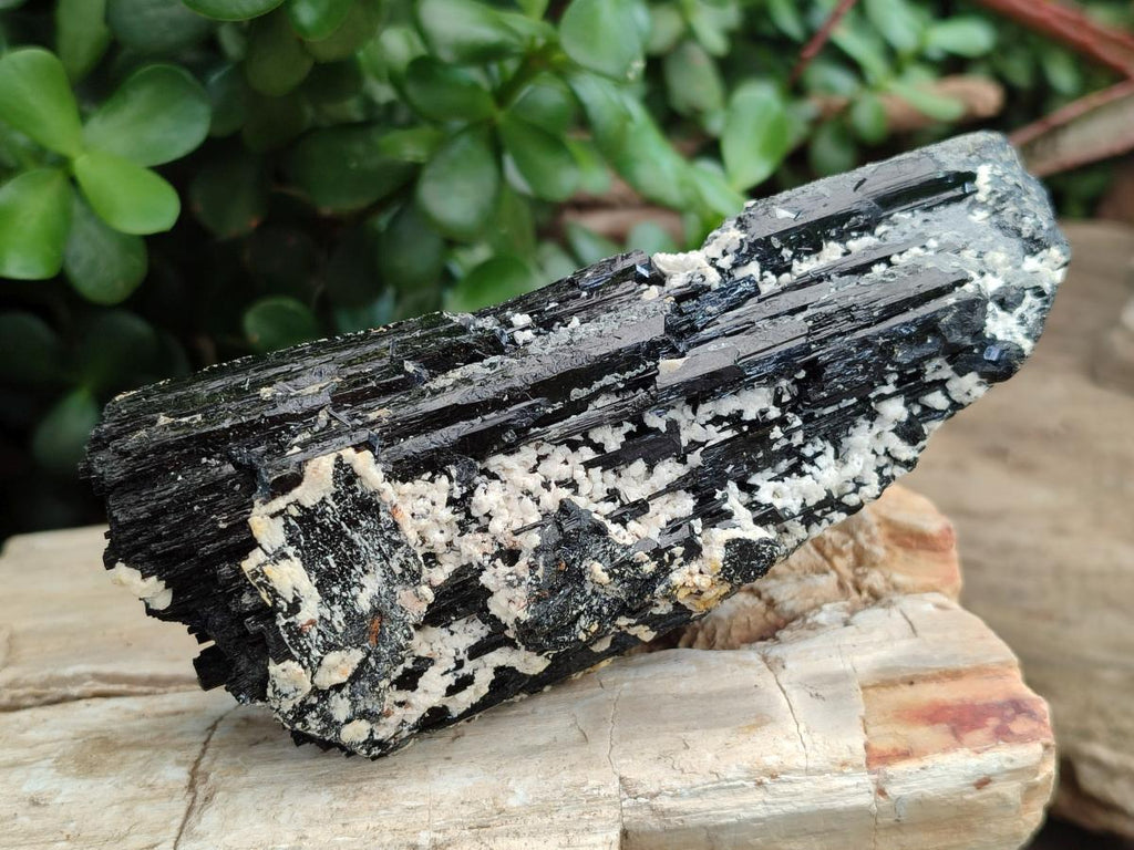 Natural Schorl Black Tourmaline Crystal Cluster Specimens with Feldspar x 2 From Erongo, Namibia