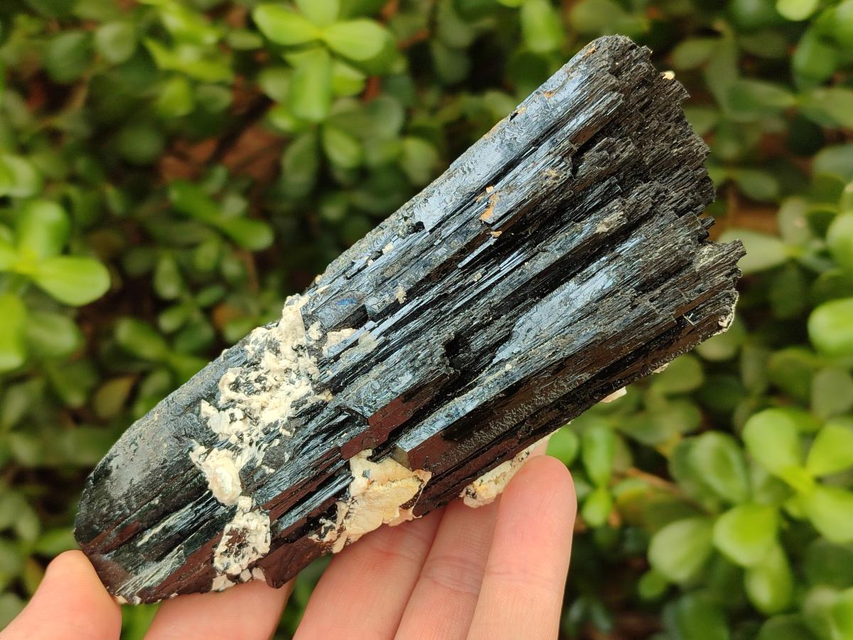 Natural Schorl Black Tourmaline Crystal Cluster Specimens with Feldspar x 2 From Erongo, Namibia
