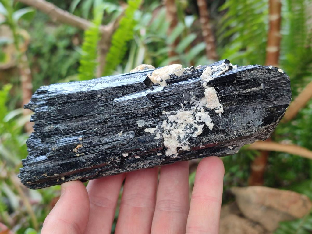 Natural Schorl Black Tourmaline Crystal Cluster Specimens with Feldspar x 2 From Erongo, Namibia